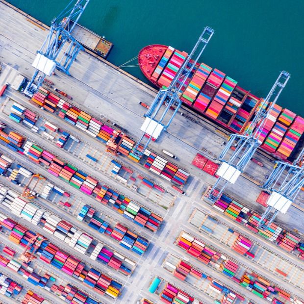 Dhl Fedex Fob FCL Sea Freight Cargo وكيل شحن من الصين إلى الولايات المتحدة فرنك بريتاي وألمانيا