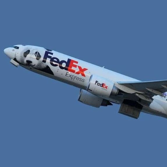 في الخارج من الباب إلى الباب الشحن الدولي UPS للشحن الجوي FedEx من شنغهاي الصين إلى إسرائيل
