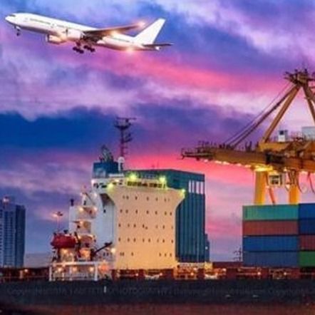 شنغهاي الصين إلى الولايات المتحدة النقل Ddp من الباب إلى الباب خدمات تسليم البضائع