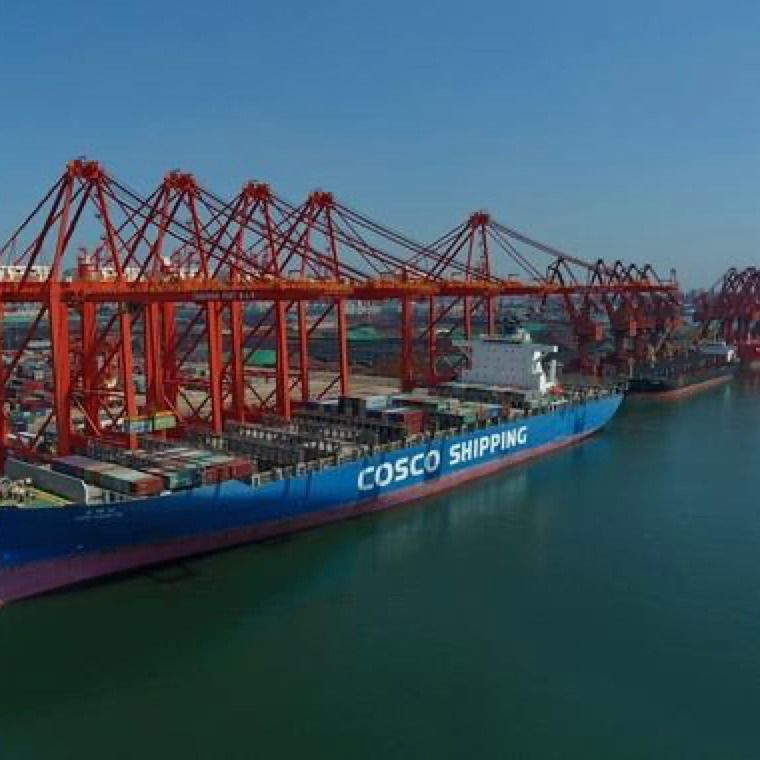 3c Global Drop Shipping Center FOB LCL Sea China إلى Jordan 3 Day Exw Freight Forwarder